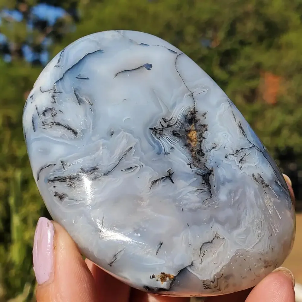 Dendritic Agate Multi-Color Pattern Translucent Freeform Crystal 258 Grams